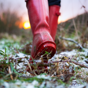 Image for Finding connections in 2026: Making local meet ups happen